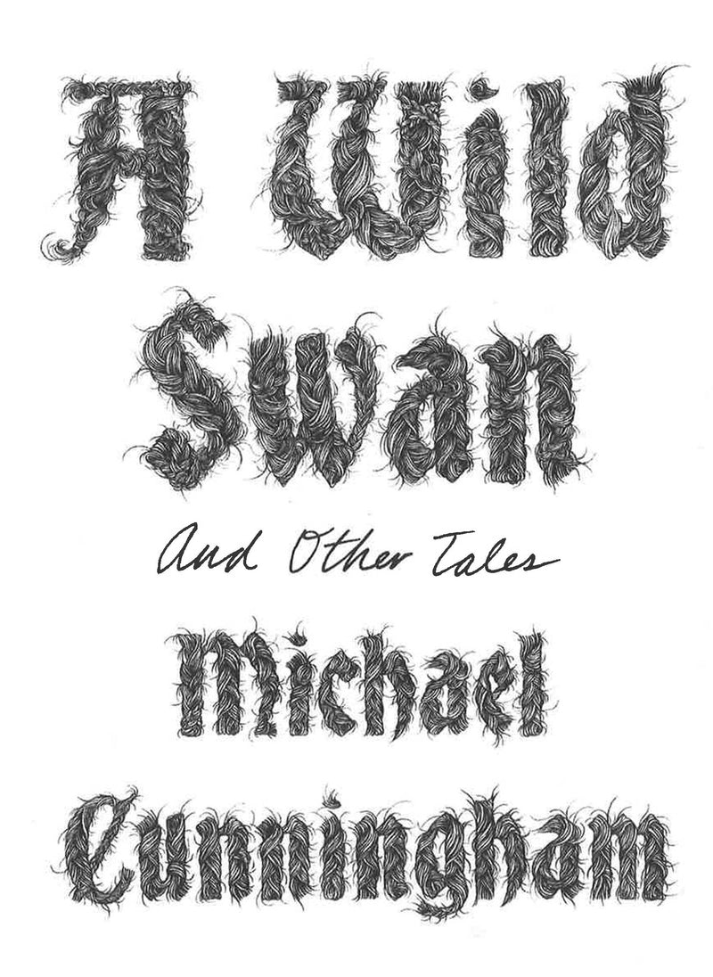 A Wild Swan: And Other Tales