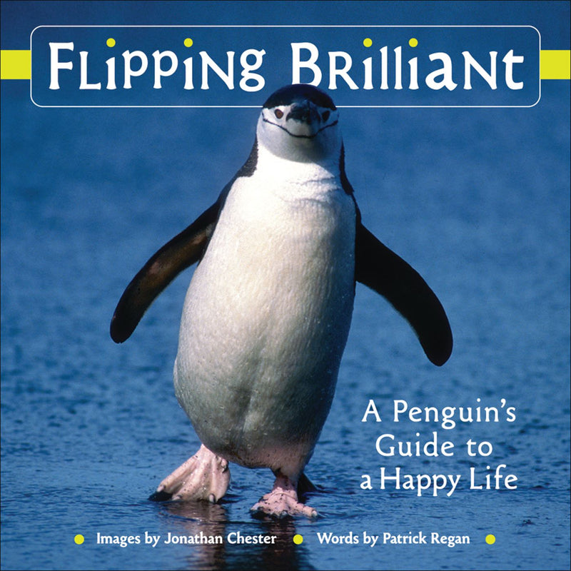 Flipping Brilliant: A Penguin&