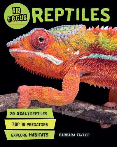 In Focus: Reptiles