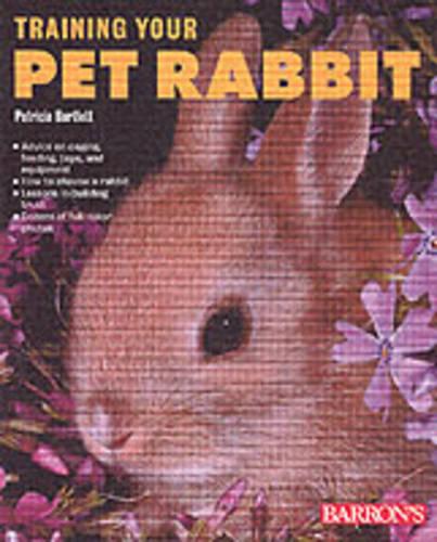 Training Your Pet Rabbit