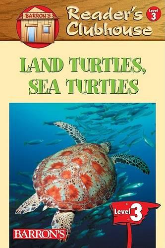 Land Turtles, Sea Turtles