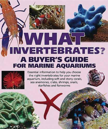 What Invertebrates?: A Buyer&