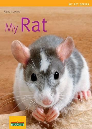 My Rat