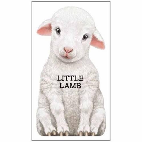 Little Lamb: Look at Me