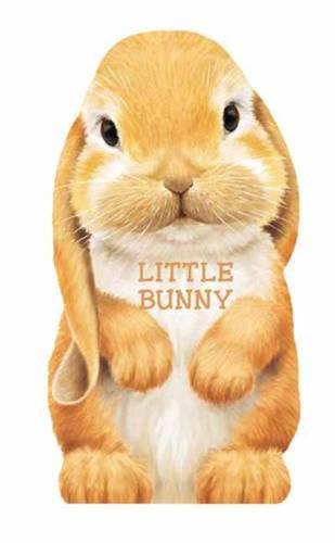 Little Bunny: Mini Look at Me Books