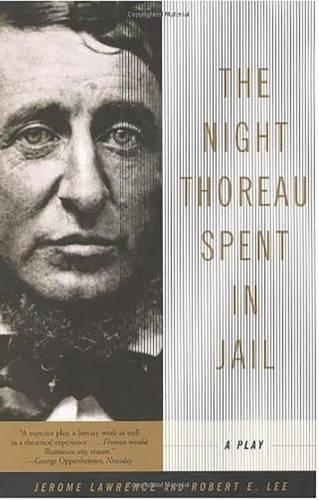 The Night Thoreau Spent in Jail Trade Book