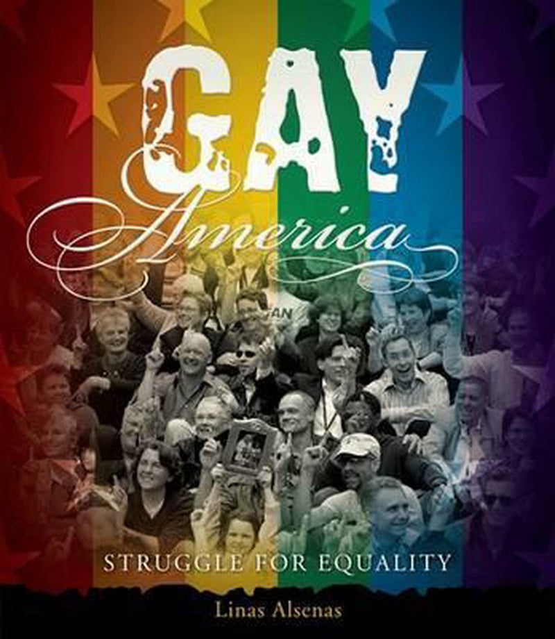 Gay America: Struggle for Equality