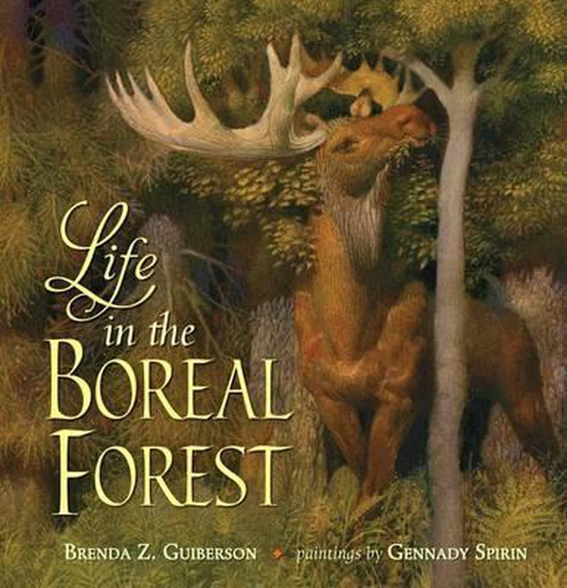 Life in the Boreal Forest