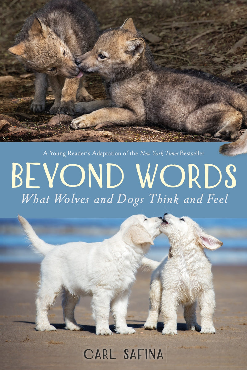 Beyond Words: What Wolves and Dogs Think and Feel (A Young Reader&