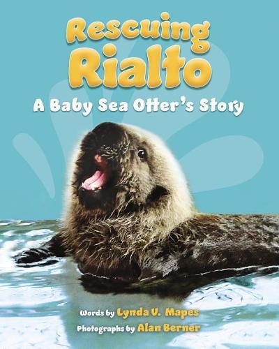 Rescuing Rialto: A Baby Sea Otter&