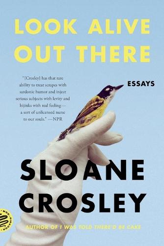 Look Alive Out There: Essays