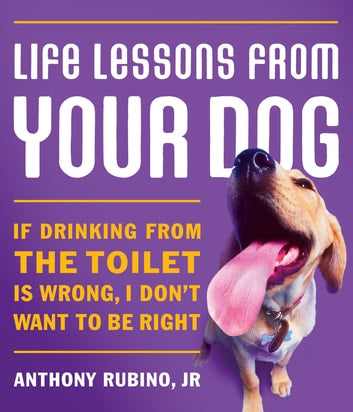 Life Lessons From Your Dog