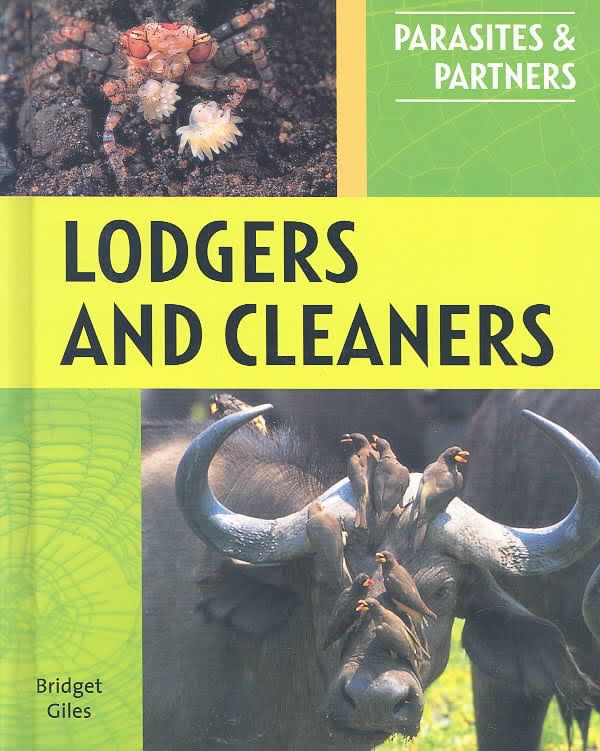 Lodgers and Cleaners