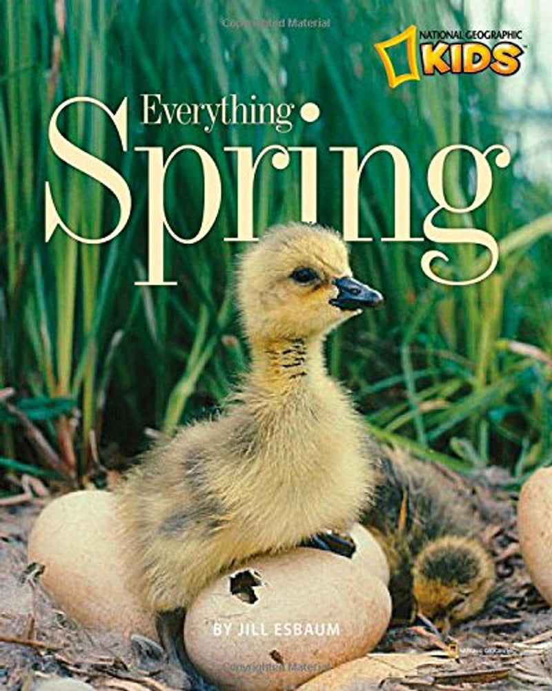 Everything Spring (Everything)