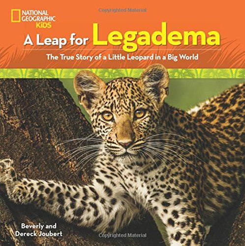 A Leap for Legadema: The True Story of a Little Leopard in a Big World