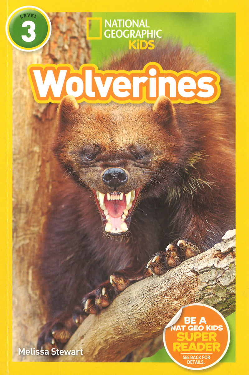 National Geographic Kids Readers: Wolverines (L3) (Readers)