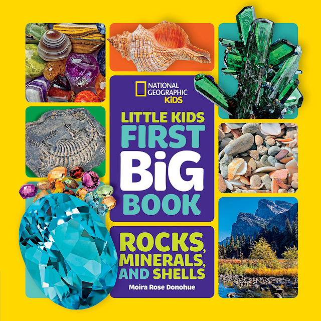 Little Kids First Big Book of Rocks, Minerals and Shells (National Geographic Kids)