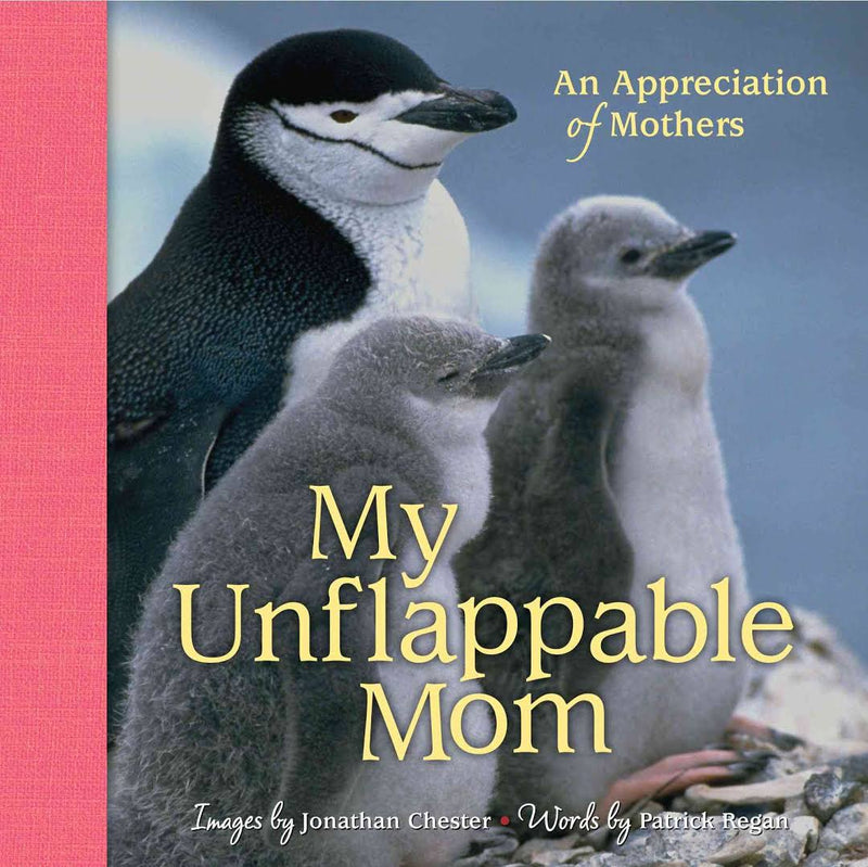 My Unflappable Mom: An Appreciation of Mothersvolume 4