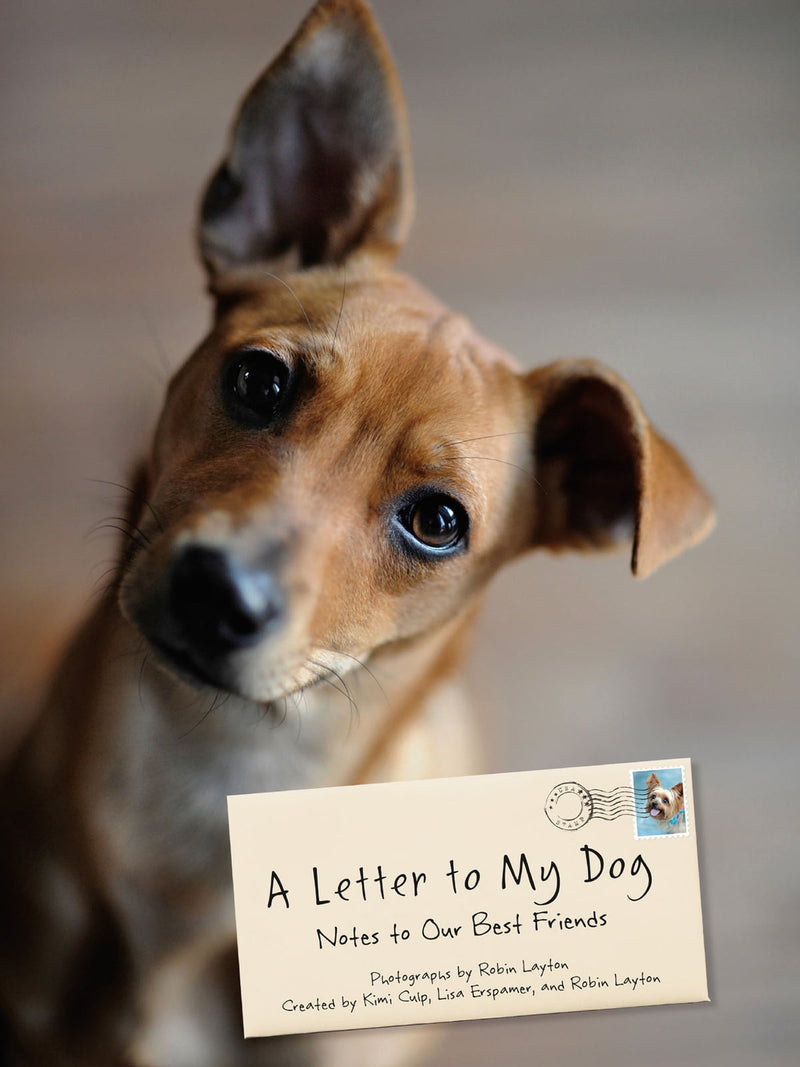 A Letter to My Dog: Personal Notes from Humans to Their Pups