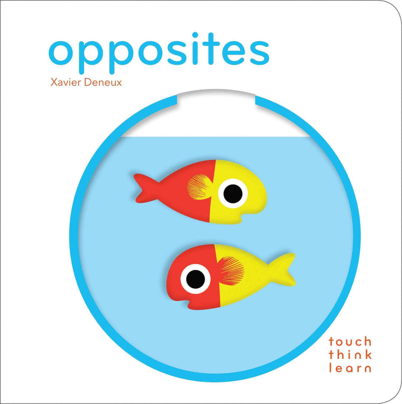 Touchthinklearn: Opposites