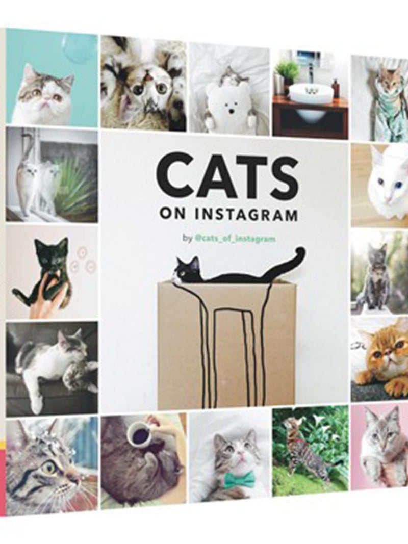 Cats On Instagram