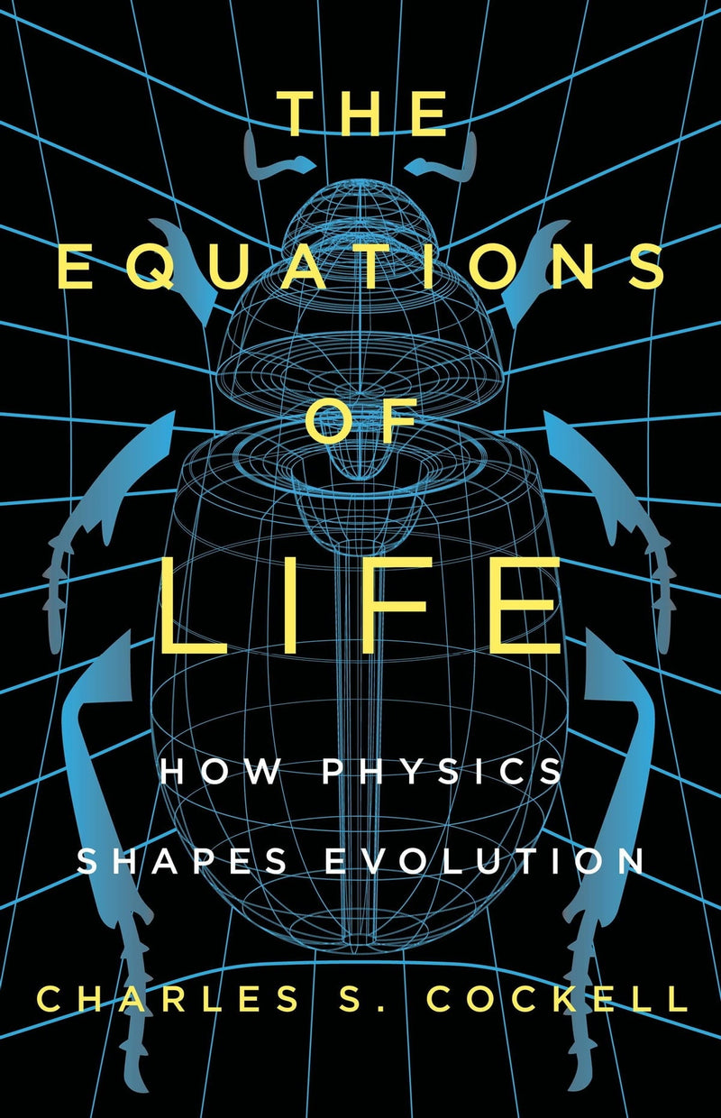 The Equations of Life: How Physics Shapes Evolution