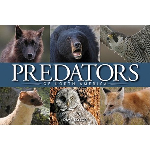 Predators of North America