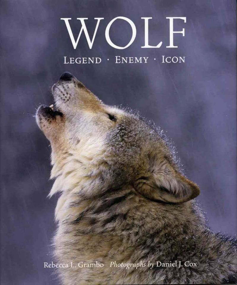 Wolf: Legend, Enemy, Icon