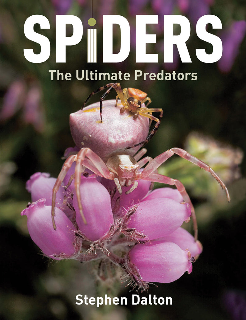 Spiders: The Ultimate Predators