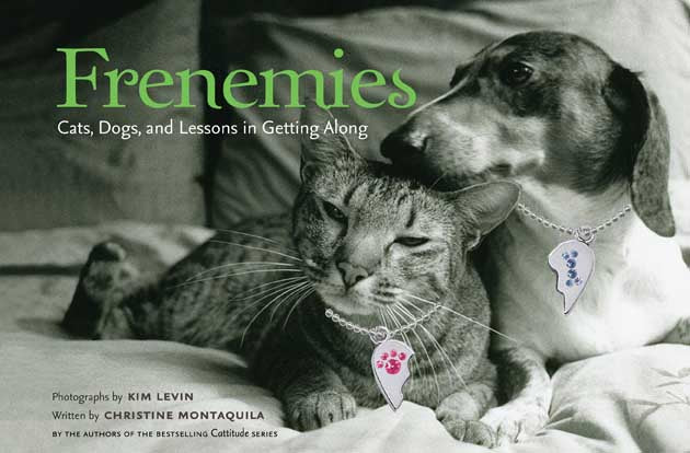 Frenemies:Cats, Dogs, and Lessons in Getting Along: "Cats, Dogs, and Lessons in Getting Along"