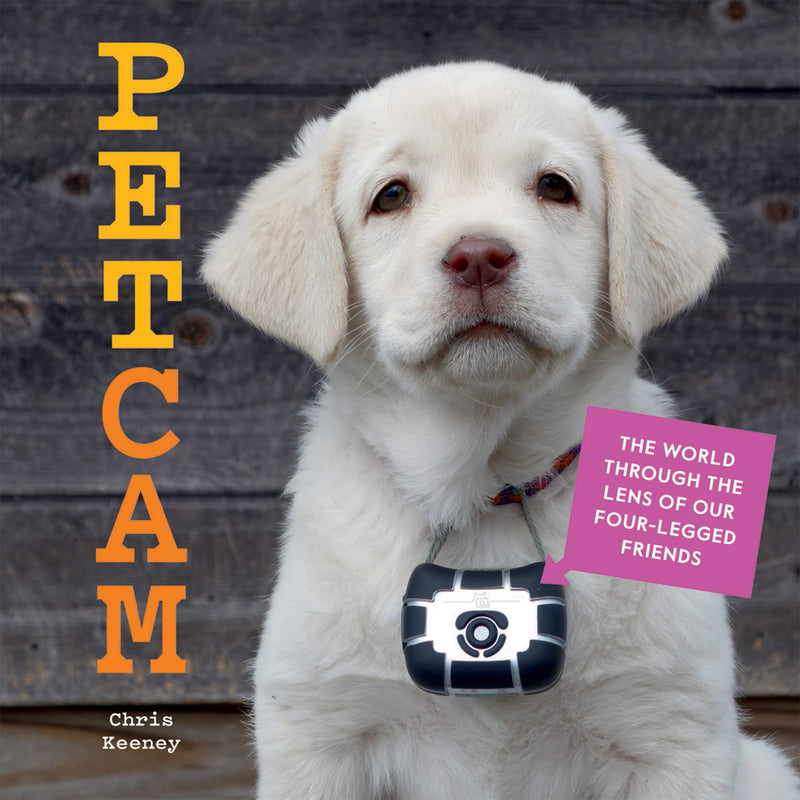 Petcam: The World Through the Lens of Our Four-Legged Friends