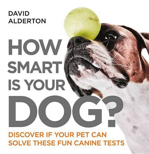 How Smart Is Your Dog?