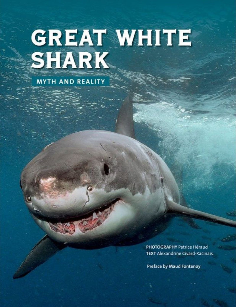 Great White Shark: Myth and Reality