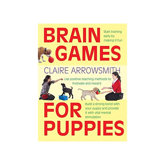 Brain Games for Puppies