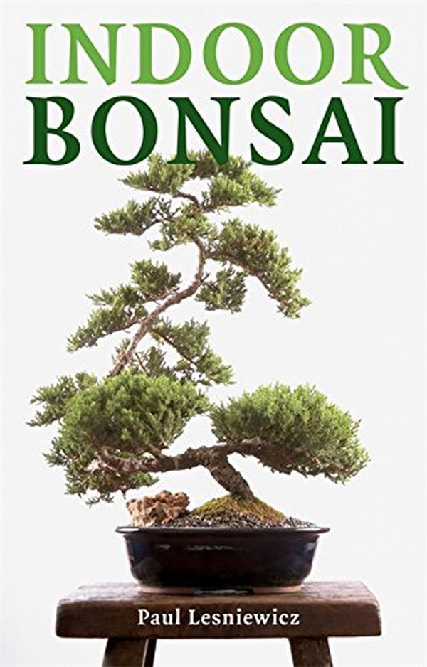 Indoor Bonsai