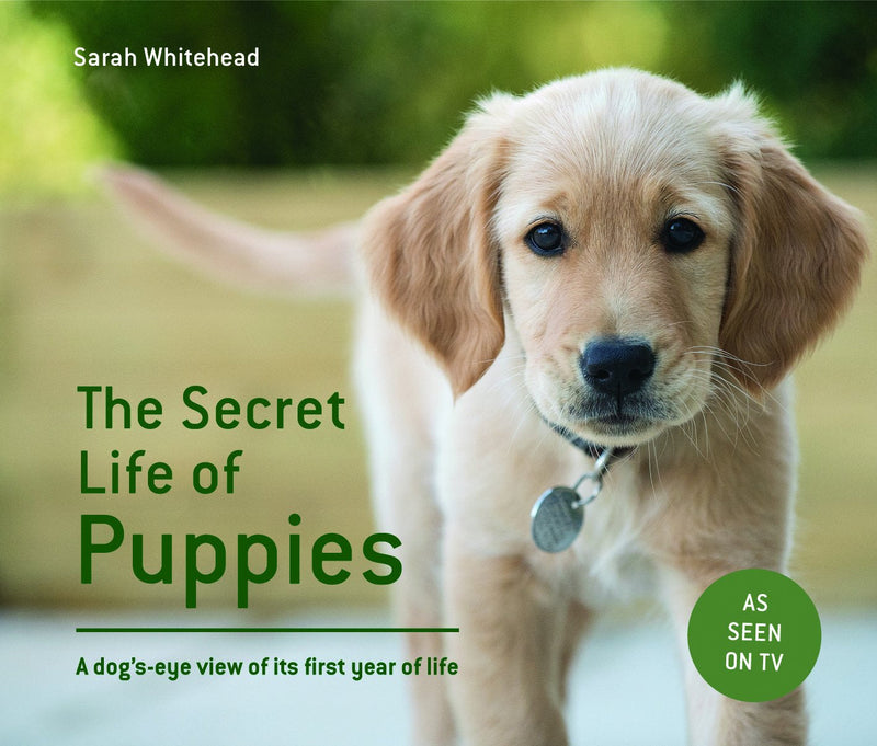 The Secret Life of Puppies: A dog&