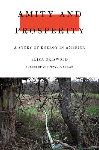 Amity and Prosperity: One Family and the Fracturing of America