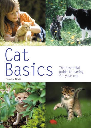 Cat Basics: The Practical Owner&