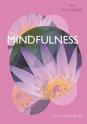 Tiny Healer: Mindfulness: A Pocket-Guide to Help With Whatever the Day Brings