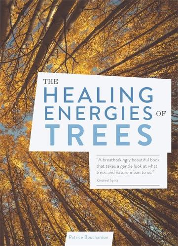 The Healing Energies of Trees