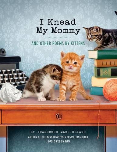 I Knead My Mommy: And Other Poems by Kittens