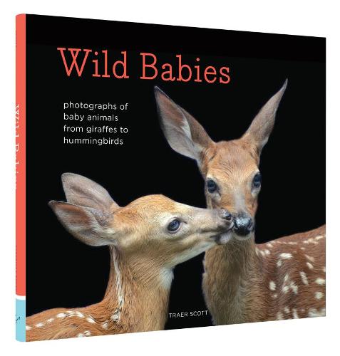 Wild Babies: Photographs of Baby Animals from Giraffes to Hummingbirds