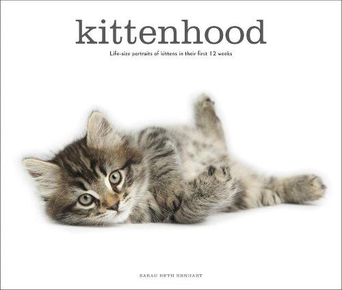 Kittenhood