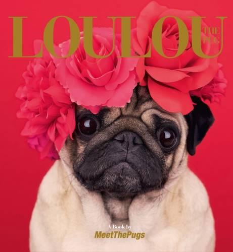 Loulou the Pug