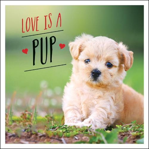 Love is a Pup: A Dog-Tastic Celebration of the World&