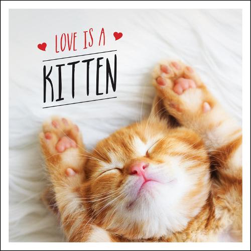 Love is a Kitten: A Cat-Tastic Celebration of the World&