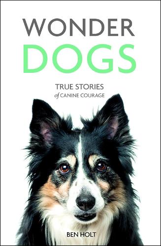 Wonder Dogs: True Stories of Canine Courage