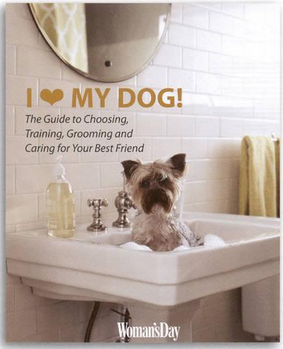 I Love My Dog!: The Guide to Choosing, Training, Grooming and Caring for Your Best Friend